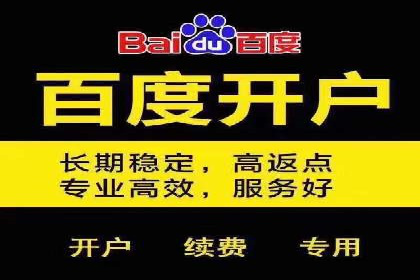 百度竞价推广代运营助力企业多元化营销案例